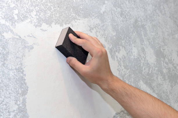 Best Industrial Mold Remediation  in Ravena, NY