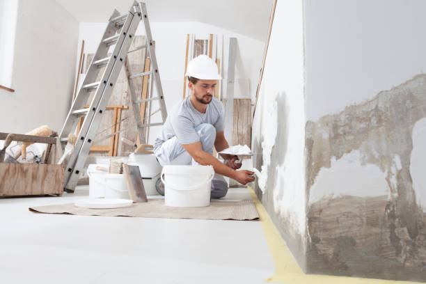 Best Mold Prevention Services  in Ravena, NY